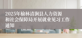 2025年榆林清涧县人力资源和社会保障局开展就业见习工作通知