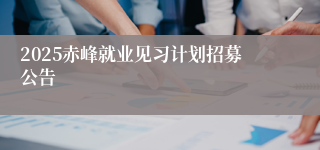 2025赤峰就业见习计划招募公告