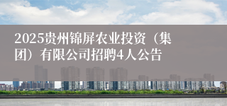 2025贵州锦屏农业投资（集团）有限公司招聘4人公告
