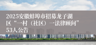 2025安徽蚌埠市招募龙子湖区“一村（社区）一法律顾问”53人公告