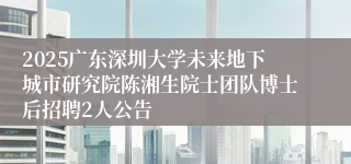 2025广东深圳大学未来地下城市研究院陈湘生院士团队博士后招聘2人公告