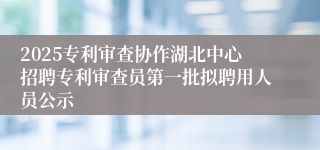 2025专利审查协作湖北中心招聘专利审查员第一批拟聘用人员公示