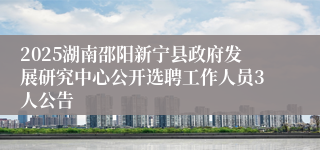 2025湖南邵阳新宁县政府发展研究中心公开选聘工作人员3人公告