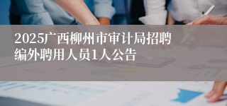 2025广西柳州市审计局招聘编外聘用人员1人公告
