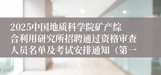 2025中国地质科学院矿产综合利用研究所招聘通过资格审查人员名单及考试安排通知（第一批）