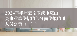 2024下半年云南玉溪市峨山县事业单位招聘部分岗位拟聘用人员公示（一）?