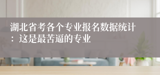 湖北省考各个专业报名数据统计：这是最苦逼的专业