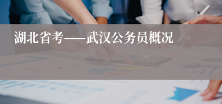 湖北省考——武汉公务员概况