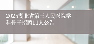 2025湖北省第三人民医院学科骨干招聘11人公告