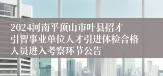 2024河南平顶山市叶县招才引智事业单位人才引进体检合格人员进入考察环节公告