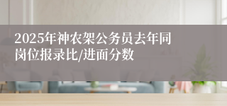 2025年神农架公务员去年同岗位报录比/进面分数