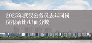 2025年武汉公务员去年同岗位报录比/进面分数
