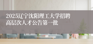 2025辽宁沈阳理工大学招聘高层次人才公告第一批