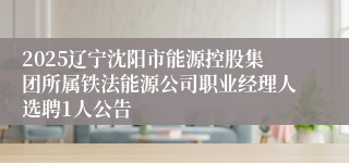 2025辽宁沈阳市能源控股集团所属铁法能源公司职业经理人选聘1人公告