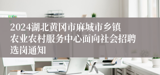 2024湖北黄冈市麻城市乡镇农业农村服务中心面向社会招聘选岗通知