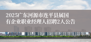 2025广东河源市连平县属国有企业职业经理人招聘2人公告