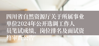 四川省自然资源厅关于所属事业单位2024年公开选调工作人员笔试成绩、岗位排名及面试资格审查公告