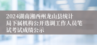 2024湖南湘西州龙山县统计局下属机构公开选调工作人员笔试考试成绩公示