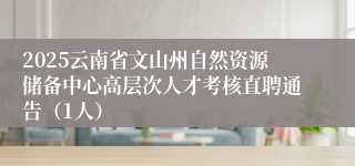 2025云南省文山州自然资源储备中心高层次人才考核直聘通告（1人）