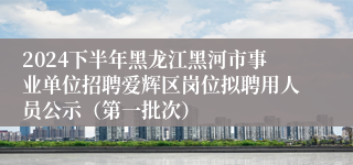 2024下半年黑龙江黑河市事业单位招聘爱辉区岗位拟聘用人员公示（第一批次）
