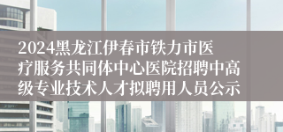 2024黑龙江伊春市铁力市医疗服务共同体中心医院招聘中高级专业技术人才拟聘用人员公示