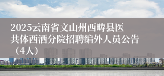 2025云南省文山州西畴县医共体西洒分院招聘编外人员公告（4人）