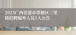 2025广西贵港市覃塘区三里镇招聘编外人员1人公告