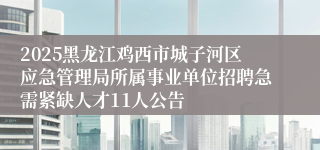 2025黑龙江鸡西市城子河区应急管理局所属事业单位招聘急需紧缺人才11人公告