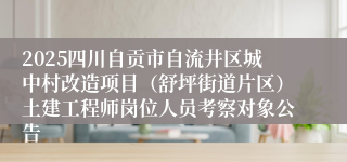 2025四川自贡市自流井区城中村改造项目（舒坪街道片区）土建工程师岗位人员考察对象公告