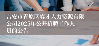 吉安市青原区睿才人力资源有限公司2025年公开招聘工作人员的公告