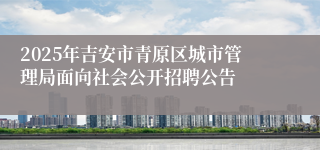 2025年吉安市青原区城市管理局面向社会公开招聘公告