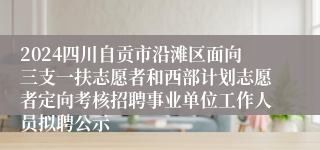 2024四川自贡市沿滩区面向三支一扶志愿者和西部计划志愿者定向考核招聘事业单位工作人员拟聘公示