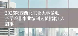 2025陕西西北工业大学微电子学院非事业编制人员招聘1人启事