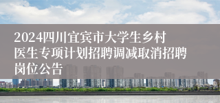 2024四川宜宾市大学生乡村医生专项计划招聘调减取消招聘岗位公告
