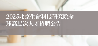 2025北京生命科技研究院全球高层次人才招聘公告