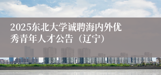 2025东北大学诚聘海内外优秀青年人才公告（辽宁）