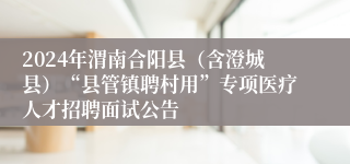 2024年渭南合阳县（含澄城县）“县管镇聘村用”专项医疗人才招聘面试公告