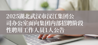2025湖北武汉市汉江集团公司办公室面向集团内部招聘阶段性聘用工作人员1人公告