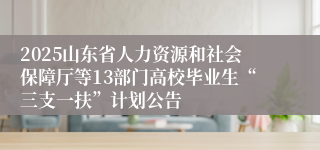 2025山东省人力资源和社会保障厅等13部门高校毕业生“三支一扶”计划公告
