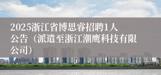 2025浙江省博思睿招聘1人公告（派遣至浙江潮鹰科技有限公司）