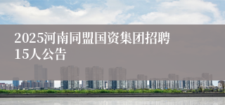 2025河南同盟国资集团招聘15人公告