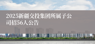 2025新疆交投集团所属子公司招56人公告