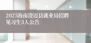 2025海南澄迈县就业局招聘见习生3人公告