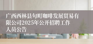 广西西林县句町咖啡发展贸易有限公司2025年公开招聘工作人员公告