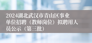2024湖北武汉市青山区事业单位招聘（教师岗位）拟聘用人员公示（第三批）