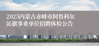 2025内蒙古赤峰市阿鲁科尔沁旗事业单位招聘体检公告