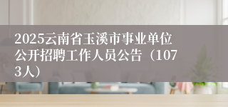 2025云南省玉溪市事业单位公开招聘工作人员公告（1073人）