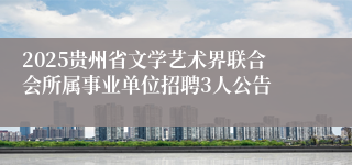 2025贵州省文学艺术界联合会所属事业单位招聘3人公告