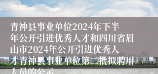 青神县事业单位2024年下半年公开引进优秀人才和四川省眉山市2024年公开引进优秀人才青神县事业单位第二批拟聘用人员的公示