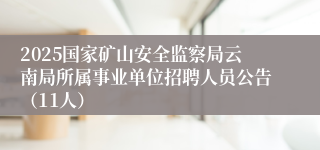 2025国家矿山安全监察局云南局所属事业单位招聘人员公告（11人）